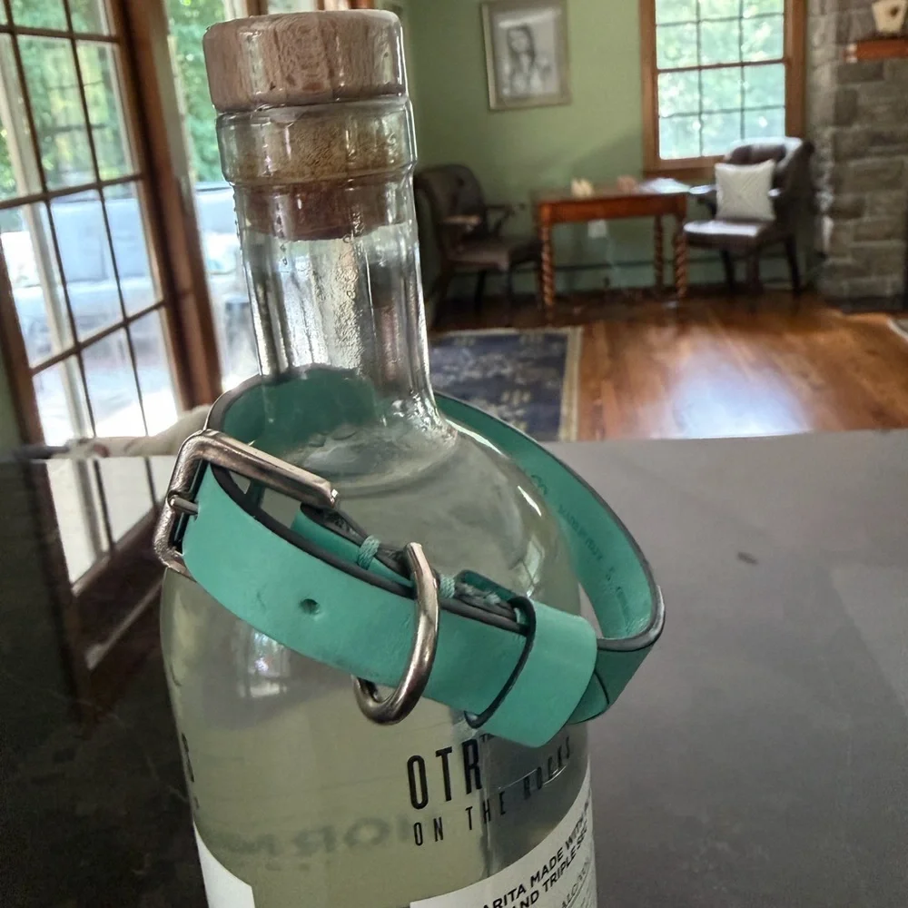 Tiffany & Co. Leather Pet Collar with Signature Return Plate - Size Small